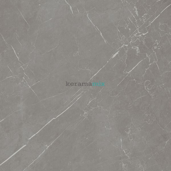 Керамогранит Teo Ceramics (Allore) | Marmolino Grey F P 600x600x8 R Mat 1 60131259 фото