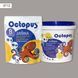 Двокомпонентна епоксидна затирка фуга для плитки і мозаїки ТМ "OCTOPUS", колір 8712 1,25 кг. 209689 фото 1