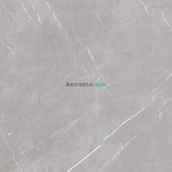 Керамогранит Teo Ceramics (Allore) | Marmolino Silver F P R 600x600 Mat 11549 фото