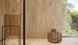 Керамограніт Opoczno | PASSION OAK CREAM MATT RECT 22,1X89 G1 208639 фото 4