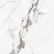 Керамограніт Asia Pacific | Statuario Bottega Silver Polished 60*60 201657 фото 12