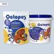 Двокомпонентна епоксидна затирка фуга для плитки і мозаїки ТМ "OCTOPUS", колір 8530 1,25 кг 209254 фото 1