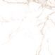 Керамогранит Teo Ceramics (Allore) | Alcora Gold F P 600x600x8 R Satin 1 52464924 фото 19