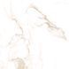 Керамогранит Teo Ceramics (Allore) | Alcora Gold F P 600x600x8 R Satin 1 52464924 фото 10