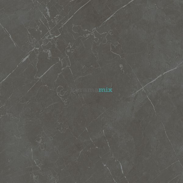Керамогранит Teo Ceramics (Allore) | Marmolino Anthracite F P 600x600x8 R Mat 1 15679 фото