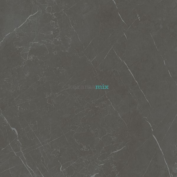 Керамогранит Teo Ceramics (Allore) | Marmolino Anthracite F P 600x600x8 R Mat 1 15679 фото