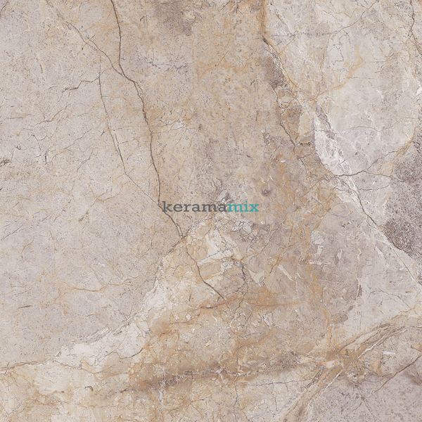 Керамограніт Teo Ceramics (Allore) | Romano F P 470x470x8 NR Mat 1 11695 фото