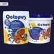 Двокомпонентна епоксидна затирка фуга для плитки і мозаїки ТМ "OCTOPUS", колір 8019 1,25 кг 209131 фото 1