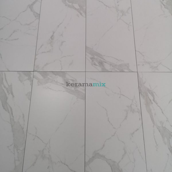 Керамограніт Teo Ceramics (Allore) | Montero Silver F P 310x610x7 NR Satin 1 11648 фото