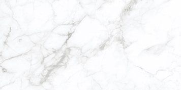 Керамогранит Primavera | Плитка CALACATTA SILVER белый 60х120 matt AG0980 208941 фото