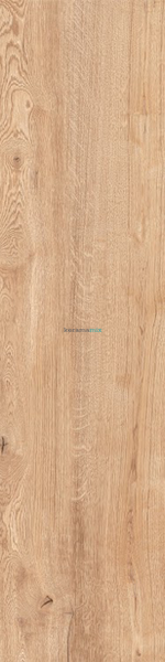 Плитка під дерево Teo Ceramics (Allore) | Rio Ivory F PR 198x1200x8 R Mat 1 201041 фото
