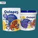 Двухкомпонентная эпоксидная затирка для плитки и мозаики ТМ "OCTOPUS", цвет 8065 1,25 кг. 209134 фото 1