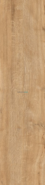 Плитка під дерево Teo Ceramics (Allore) | Rio Gold F PR 300x1200x8 R Mat 1 201042 фото