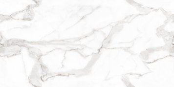 Керамогранит Megagres | Плитка VENATO BIANCO POLISHED 60x120 209945 фото