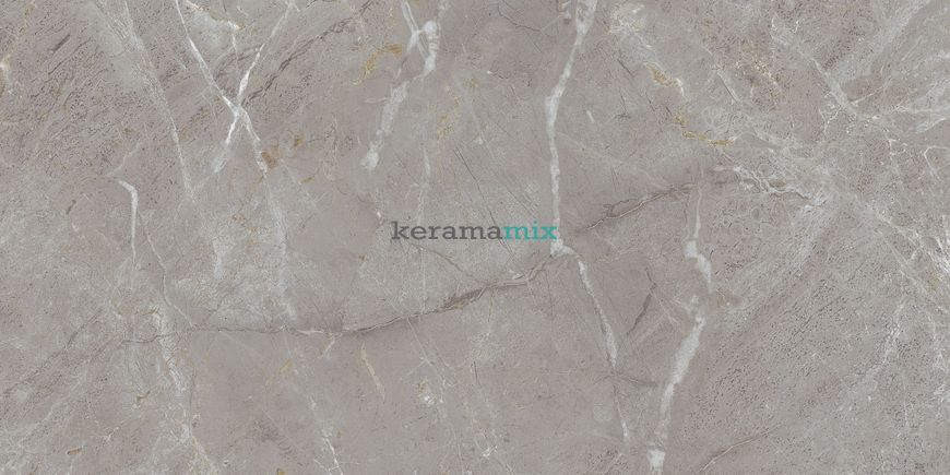 Керамогранит Teo Ceramics (Allore) | Arber Grey F P 600x1200x8 R Mat 1 11653 фото