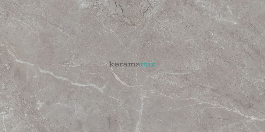 Керамогранит Teo Ceramics (Allore) | Arber Grey F P 600x1200x8 R Mat 1 11653 фото