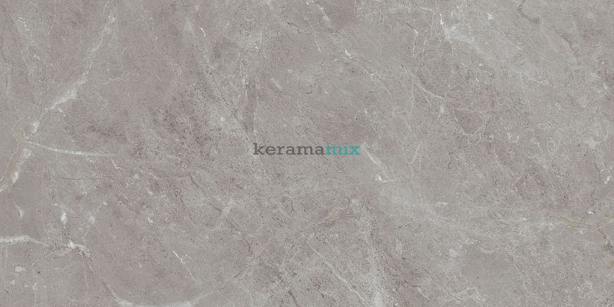 Керамограніт Teo Ceramics (Allore) | Arber Grey F P 600x1200x8 R Mat 1 11653 фото