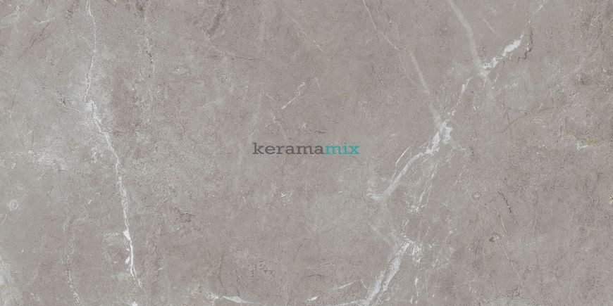 Керамогранит Teo Ceramics (Allore) | Arber Grey F P 600x1200x8 R Mat 1 11653 фото