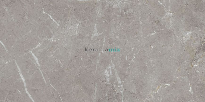 Керамогранит Teo Ceramics (Allore) | Arber Grey F P 600x1200x8 R Mat 1 11653 фото