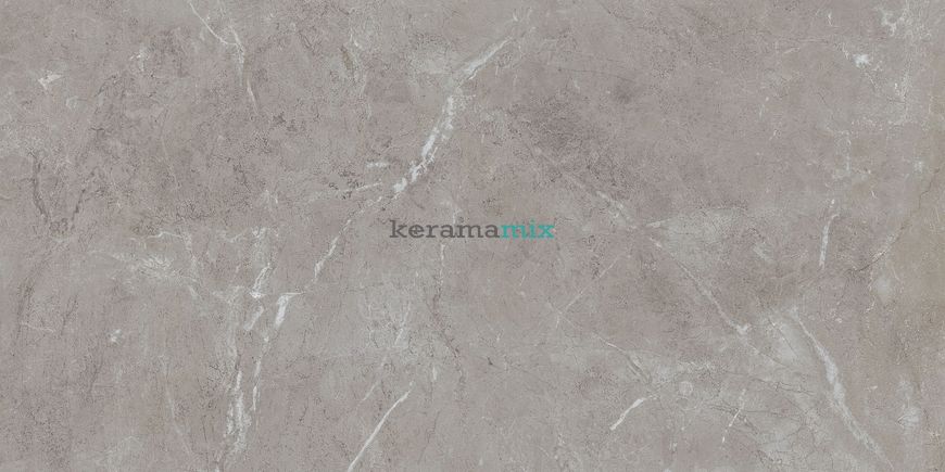 Керамогранит Teo Ceramics (Allore) | Arber Grey F P 600x1200x8 R Mat 1 11653 фото