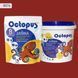 Двокомпонентна епоксидна затирка фуга для плитки і мозаїки ТМ "OCTOPUS", колір 8576 1,25 кг 209448 фото 1