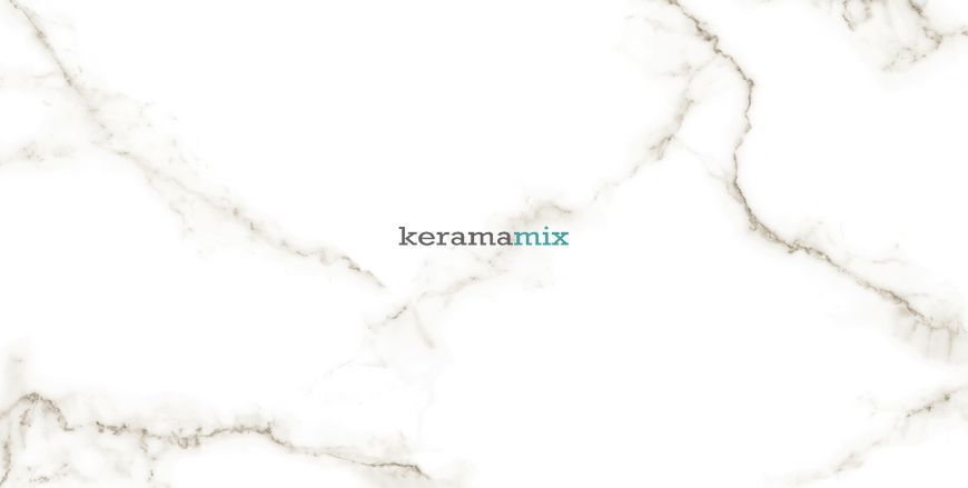 Керамогранит Netto Ceramika | Carrara Polished 60&times;120 18013 фото