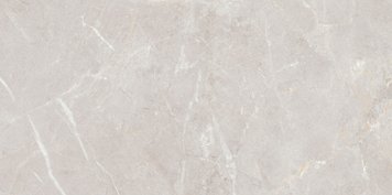 Керамогранит Teo Ceramics (Allore) | Arber Silver F P 600x1200x8 R Mat 1 11655 фото