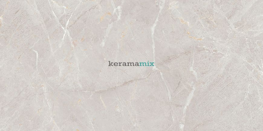 Керамогранит Teo Ceramics (Allore) | Arber Silver F P 600x1200x8 R Mat 1 11655 фото