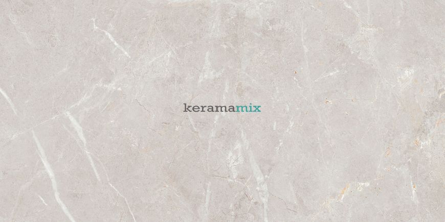 Керамогранит Teo Ceramics (Allore) | Arber Silver F P 600x1200x8 R Mat 1 11655 фото