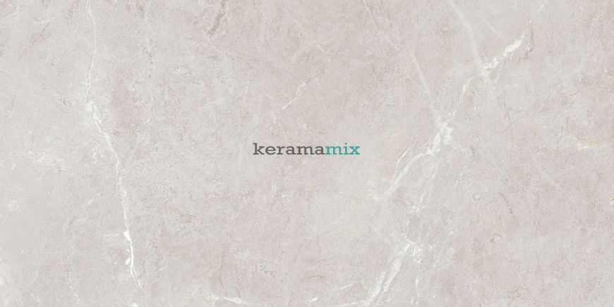 Керамограніт Teo Ceramics (Allore) | Arber Silver F P 600x1200x8 R Mat 1 11655 фото