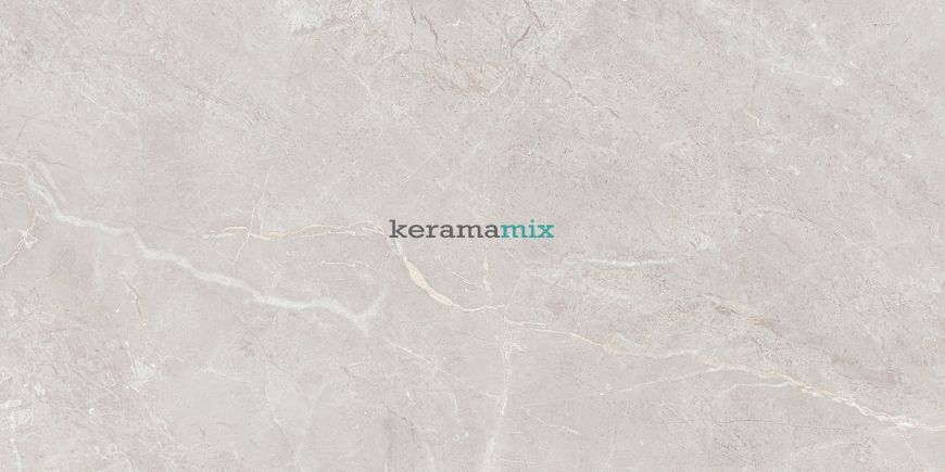 Керамогранит Teo Ceramics (Allore) | Arber Silver F P 600x1200x8 R Mat 1 11655 фото