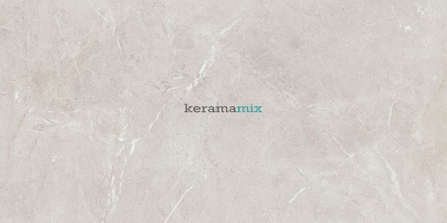 Керамогранит Teo Ceramics (Allore) | Arber Silver F P 600x1200x8 R Mat 1 11655 фото