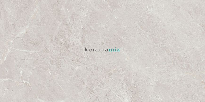 Керамогранит Teo Ceramics (Allore) | Arber Silver F P 600x1200x8 R Mat 1 11655 фото