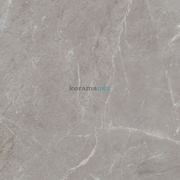 Керамогранит Teo Ceramics (Allore) | Arber Grey F P 600x600x8 R Mat 1 11656 фото