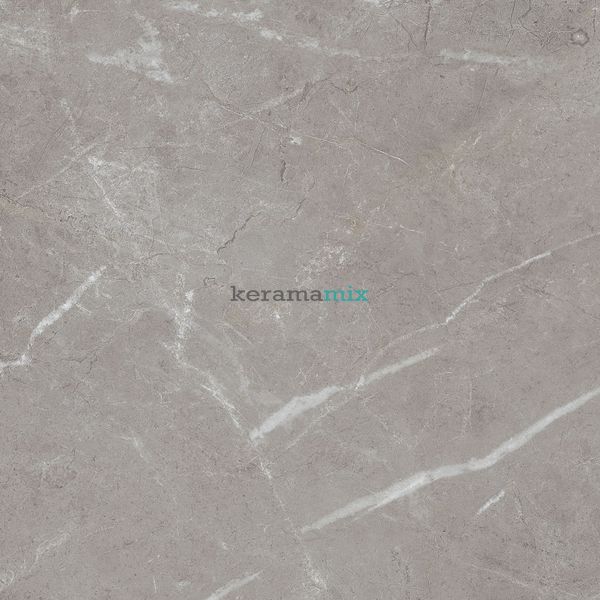 Керамограніт Teo Ceramics (Allore) | Arber Grey F P 600x600x8 R Mat 1 11656 фото