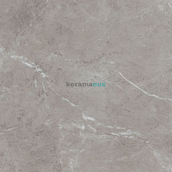 Керамогранит Teo Ceramics (Allore) | Arber Grey F P 600x600x8 R Mat 1 11656 фото