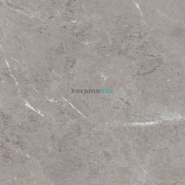 Керамогранит Teo Ceramics (Allore) | Arber Grey F P 600x600x8 R Mat 1 11656 фото