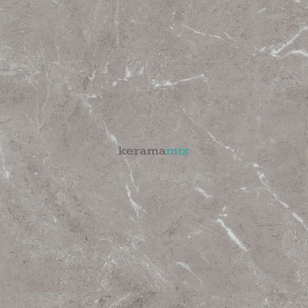 Керамогранит Teo Ceramics (Allore) | Arber Grey F P 600x600x8 R Mat 1 11656 фото