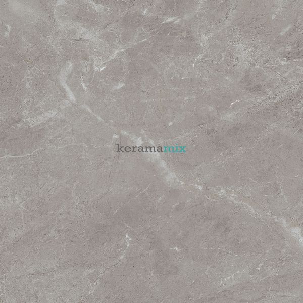 Керамогранит Teo Ceramics (Allore) | Arber Grey F P 600x600x8 R Mat 1 11656 фото