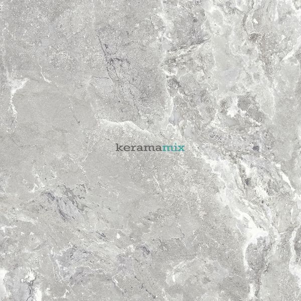 Керамогранит Teo Ceramics (Allore) | Snake stone Silver F PC 600x600x8 R Sugar 1 60131326 фото