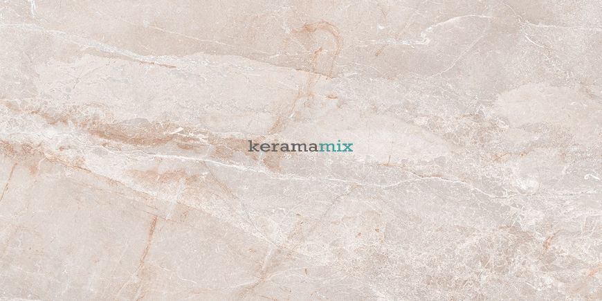 Плитка Megagres | STONICO OYSTER GREY 60x120 201396 фото