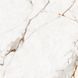 Керамогранит Asia Pacific | Statuario Bottega Gold Polished 60*60 201658 фото 1