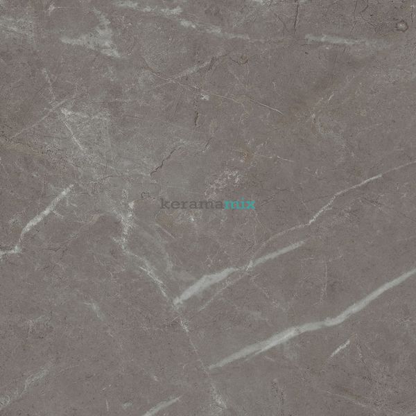 Керамогранит Teo Ceramics (Allore) | Arber Graphite F P 600x600x8 R Mat 1 11657 фото