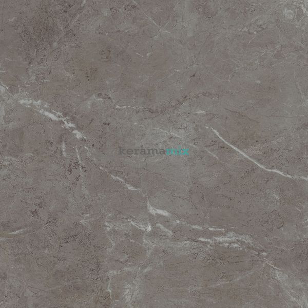 Керамогранит Teo Ceramics (Allore) | Arber Graphite F P 600x600x8 R Mat 1 11657 фото