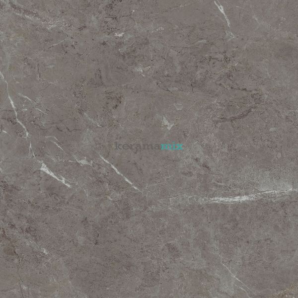 Керамогранит Teo Ceramics (Allore) | Arber Graphite F P 600x600x8 R Mat 1 11657 фото