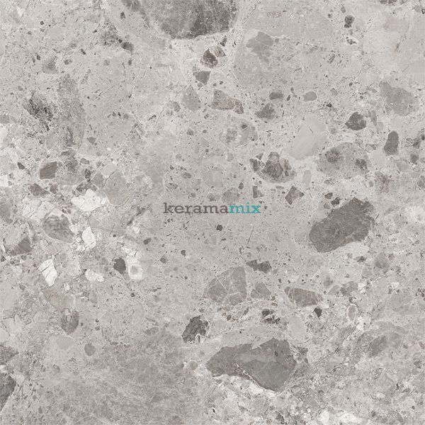 Керамограніт Ceramica Deseo | Ambra L72580 сірий 600x600x8 202656 фото