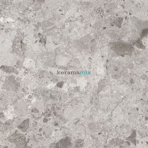 Керамограніт Ceramica Deseo | Ambra L72580 сірий 600x600x8 202656 фото