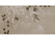Плитка для стін Fiore FON-5464R 40x80 см 10424 фото 4