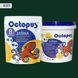 Двокомпонентна епоксидна затирка фуга для плитки і мозаїки ТМ "OCTOPUS", колір 8089 1,25 кг 209141 фото 1
