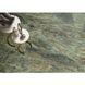 Керамогранит Cerrad | Brazilian Quartzite Green RECT 59,7X119,7 17119 фото 5